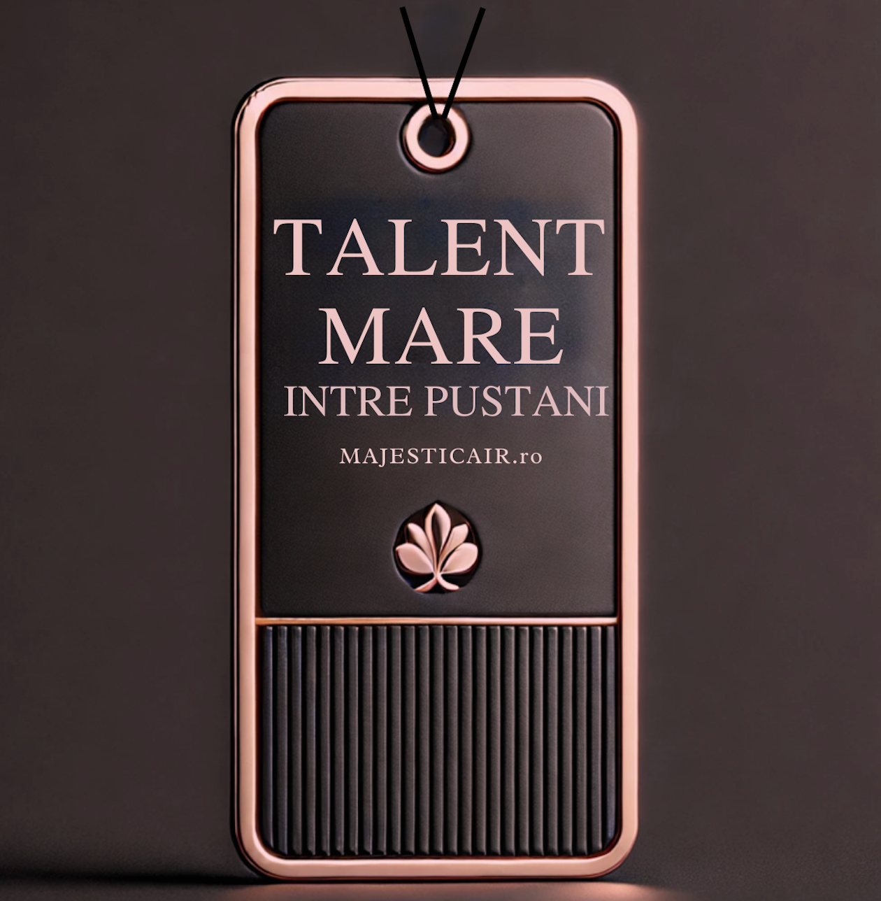 Talent mare intre Puștani