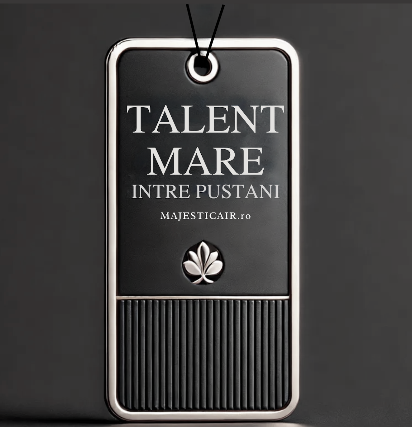 Talent mare intre Puștani