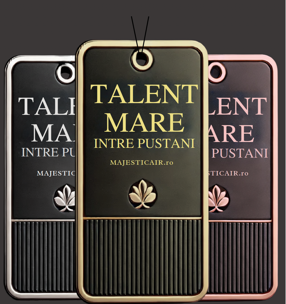 Pachet Premium 3 Odorizante