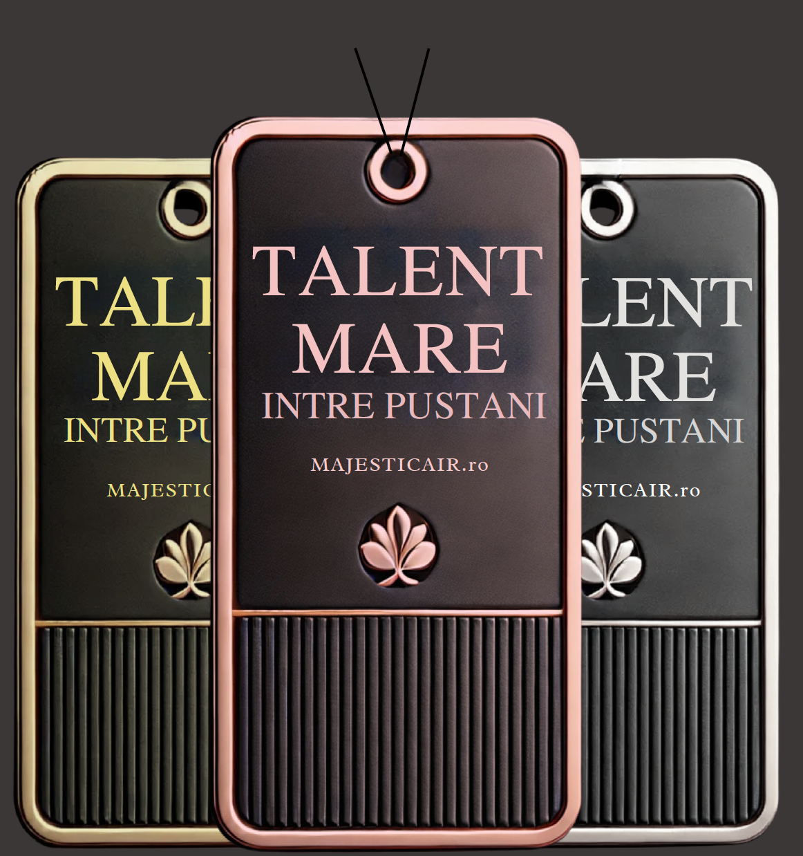 Pachet Premium 3 Odorizante