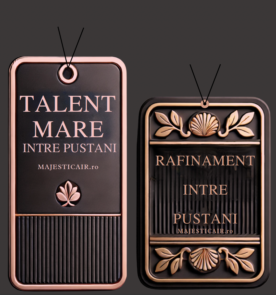 Pachet de lux 2 Odorizante